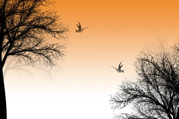 Дерева і птахів — стоковий вектор