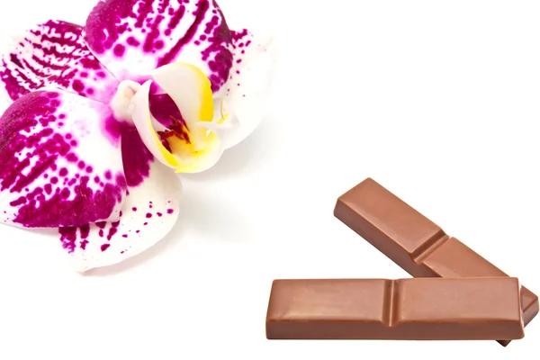 Orquídea y chocolate — Foto de Stock