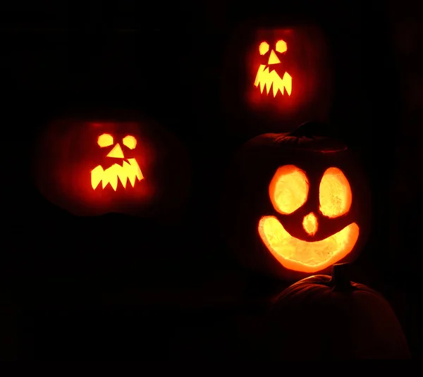 stock image Halloween Pumkins Jack o lanterns