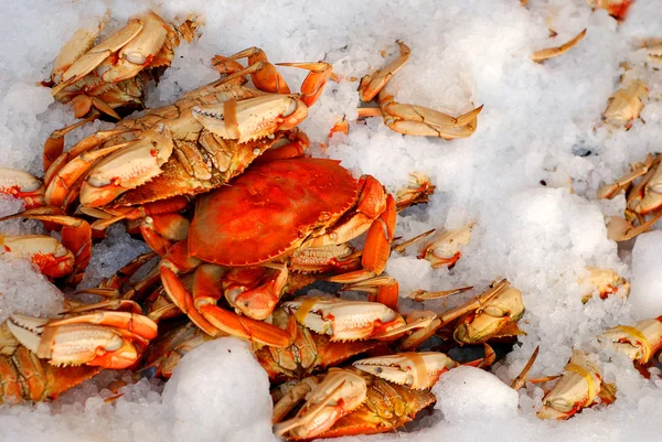 Frische Krabben auf Eis — Stockfoto