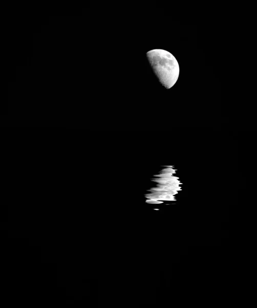 Лунный подъем — стоковое фото