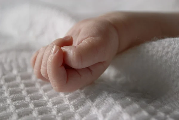 Baby Hand — Stock Photo, Image