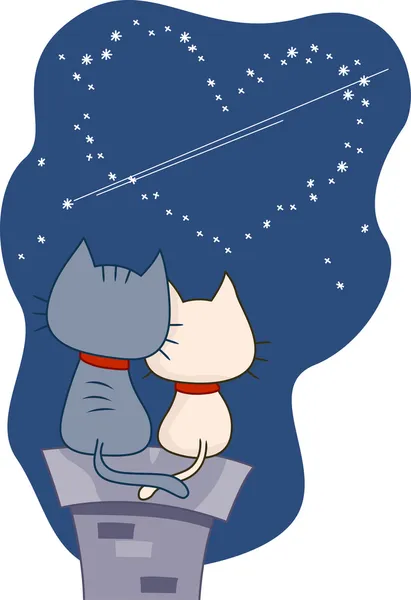 Koty podziwianie gwiazd — Zdjęcie stockowe