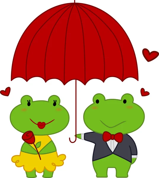 青蛙夫妇 — 图库照片