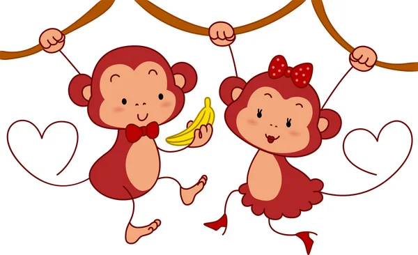 Casal de macacos — Fotografia de Stock