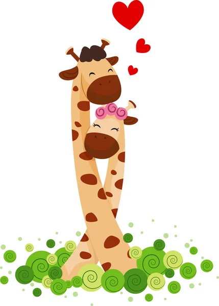Giraffe paar — Stockfoto