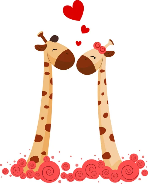 Casal de girafa — Fotografia de Stock