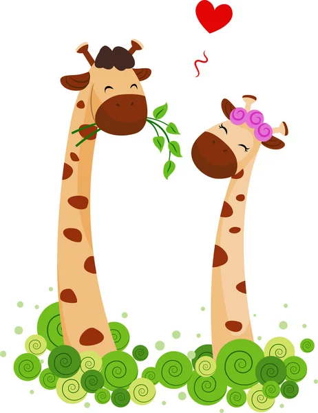 Coppia giraffa — Foto Stock