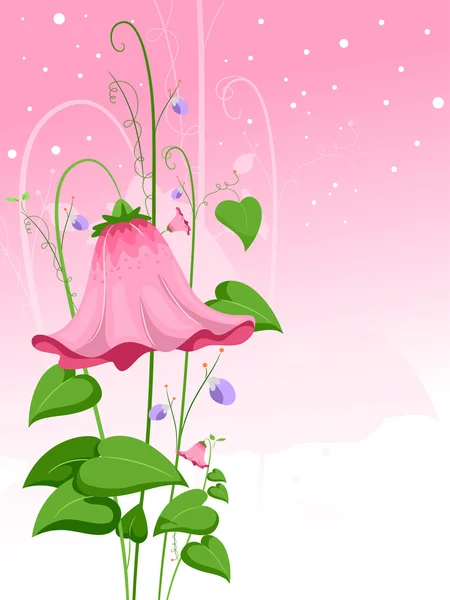 Ροζ λουλούδι — Φωτογραφία Αρχείου