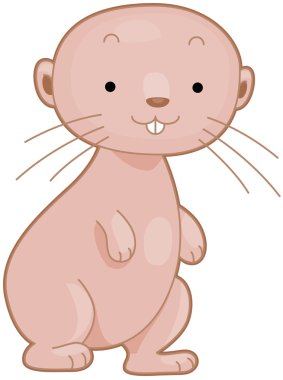 Naked Mole Rat clipart