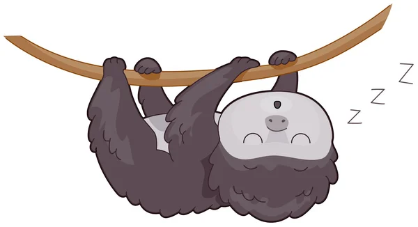 Sloth — Stock Photo, Image