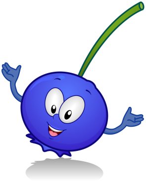 Blueberry clipart