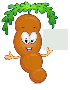 Tamarind clipart