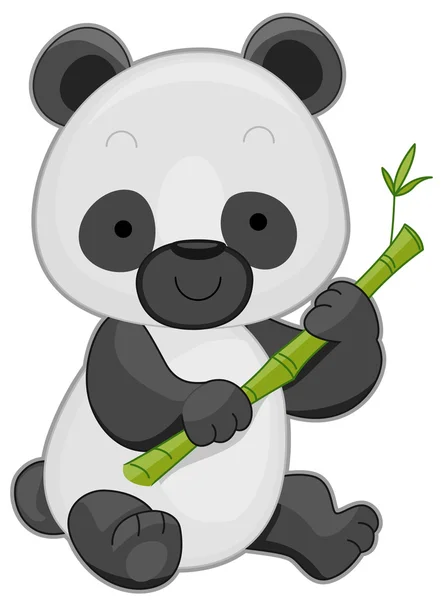 Panda! — Stock Fotó