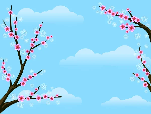 桜の背景 — ストック写真