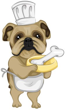 Chef Bulldog clipart