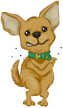 Chihuahua Scratching clipart