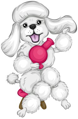 Poodle Grooming clipart