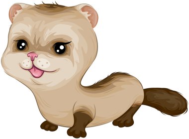 Baby Ferret clipart