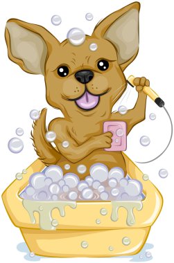 Chihuahua taking a Bath clipart