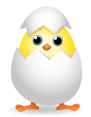 Chick clipart