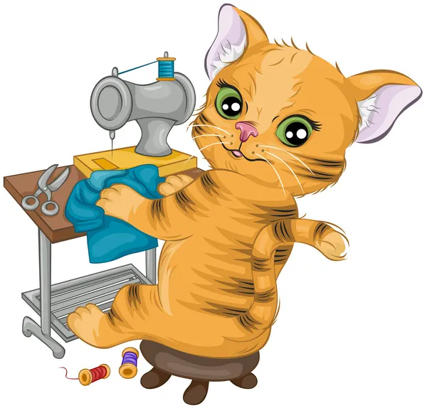 Cat Sewing — Stock Photo, Image