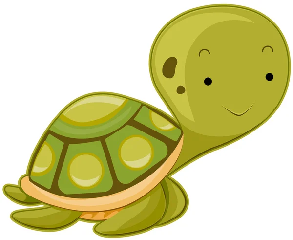 Cute Sea Turtle — Stock Photo, Image