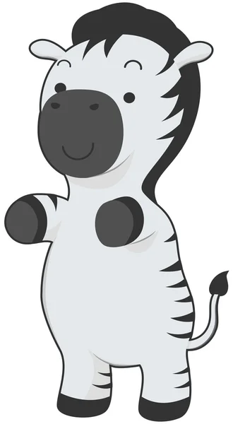 Cute Zebra — Stock Photo, Image