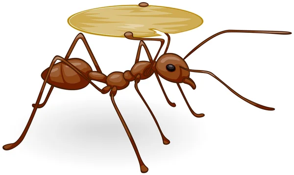 Ant 運ぶトレイ — ストック写真