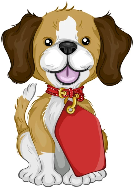 Beagle com Tag — Fotografia de Stock