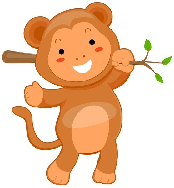 Cute Monkey — Stock Photo, Image