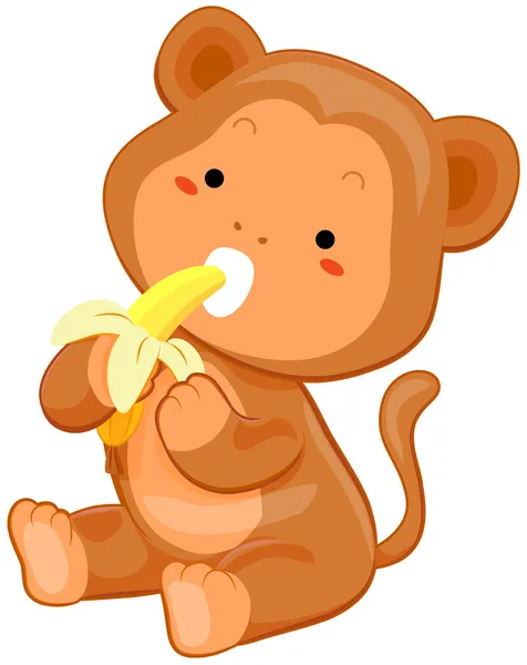 Macaco bonito — Fotografia de Stock
