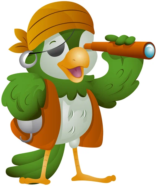 Parrot Pirate — Stock Photo, Image
