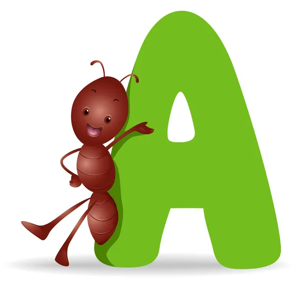 A für Ameise — Stockfoto