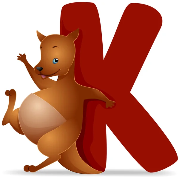 K för känguru — Stockfoto