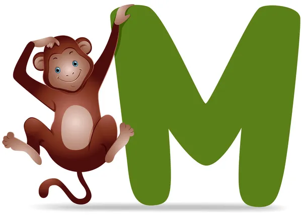 M untuk Monyet — Stok Foto