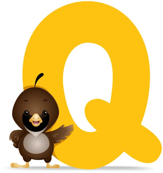 Q for Quail — Stock Photo, Image