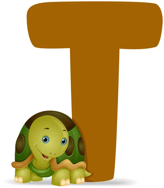 T voor schildpad — Stockfoto