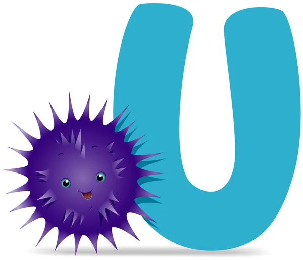 U per Urchin — Foto Stock