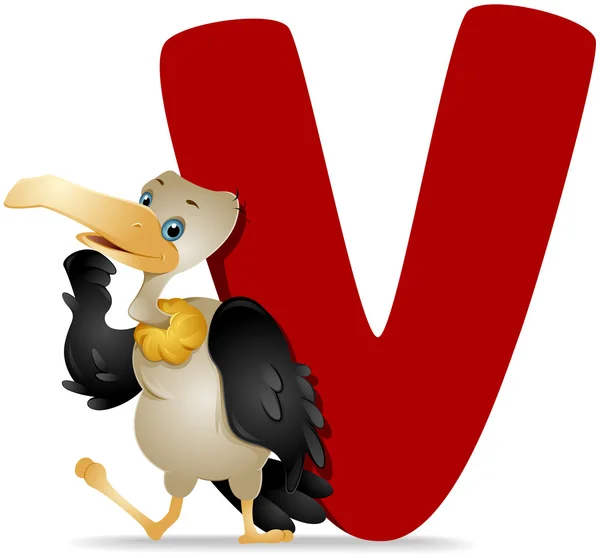 V for Vulture — Stock Photo, Image