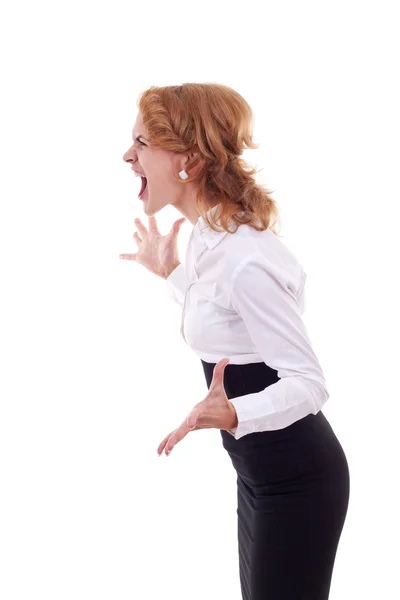 Angry business woman screaming — Stock Photo, Image