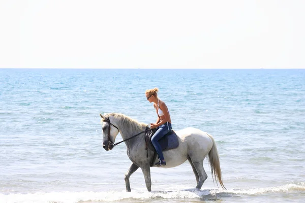 Jeune cavalier sur la plage — Photo