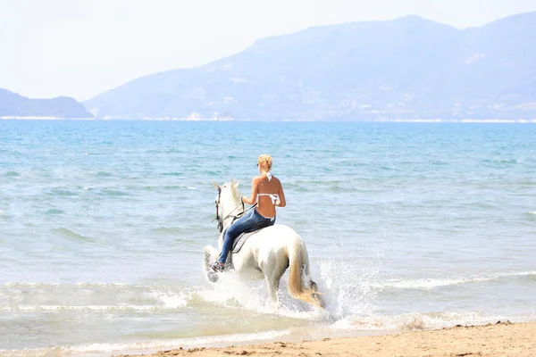 Giovane cavaliere sulla spiaggia — Foto Stock