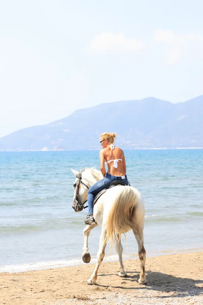 Mladý jezdec na pláži — Stock fotografie