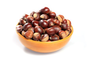 Chestnut clipart