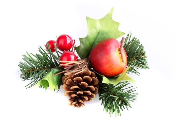 Disposizione natalizia con cono e ramo di pino — Foto Stock
