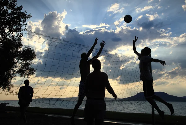Volley-ball — Photo