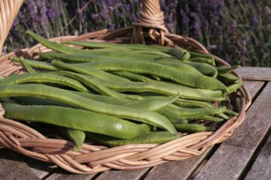 sepet açık havada üzerinde olgunlaşmış runner bean demet