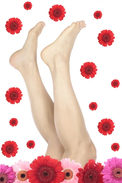 女性的双腿和鲜花隔离在白色背景 — 图库照片