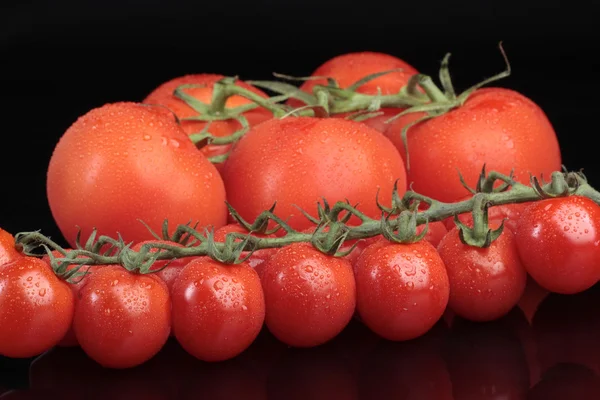 Pomidory cherry winorośli na czarnym tle — Zdjęcie stockowe